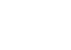 GrayMatters