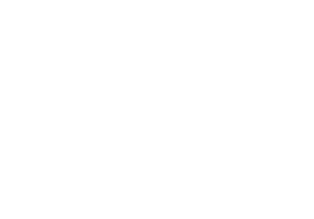 The Herald